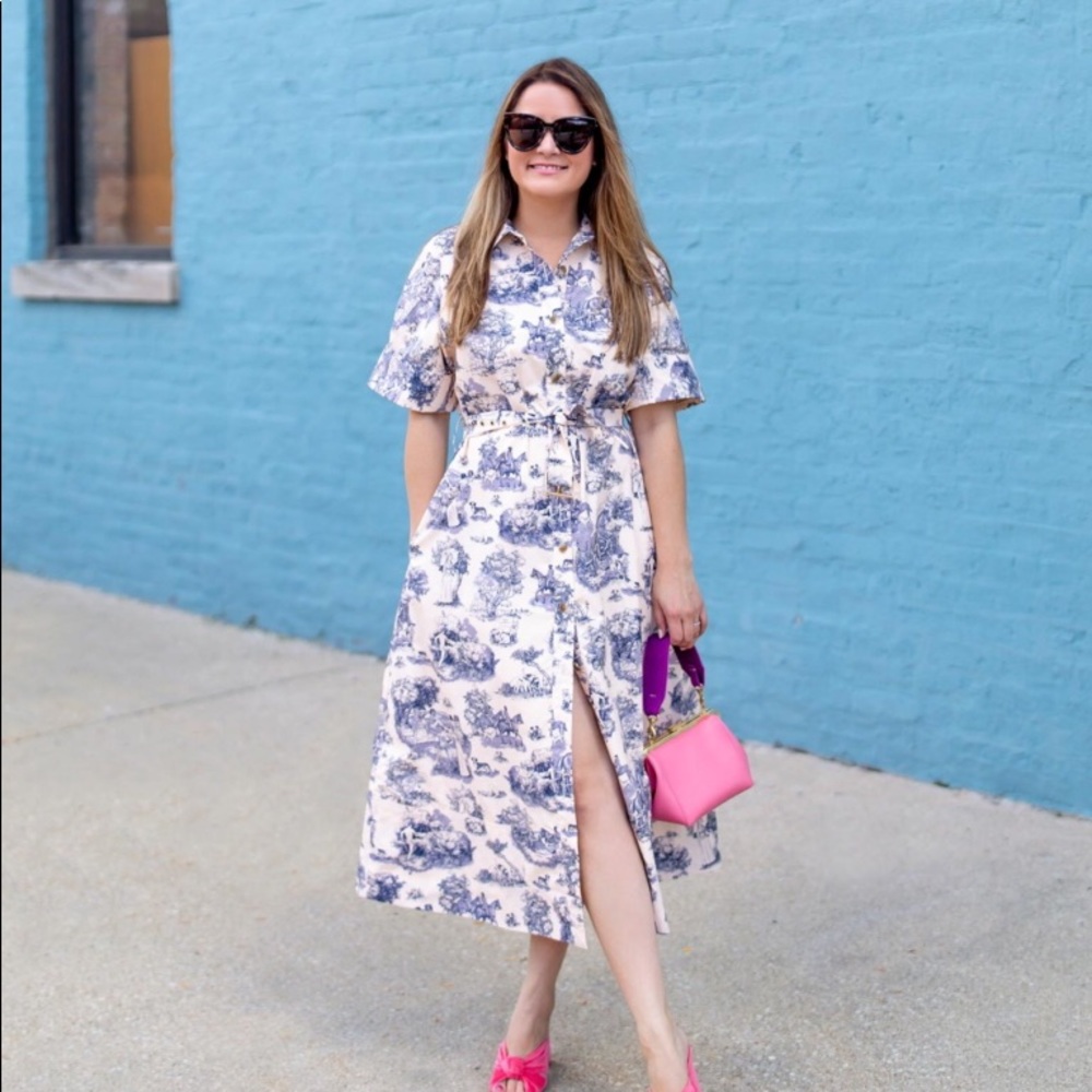 Rachel Antonoff Toile Shirt Dress